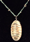 Unique 'Clam' Shell Necklace