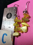Mother of Pearl Shell Earrings