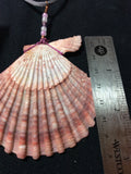 Large Pink Scallop Shell Handmade Necklace & Earrings