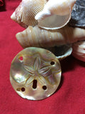Mother of Pearl Sand Dollar Pin