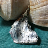 Pewter Enhanced Seashell Pendant