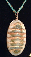 Unique 'Clam' Shell Necklace